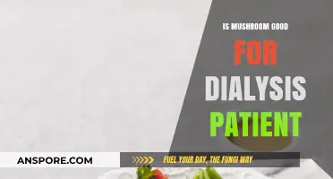 Mushrooms and Dialysis: Benefits, Risks, and Safe Consumption Tips