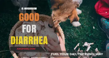 Mushrooms for Diarrhea: Effective Remedy or Myth?