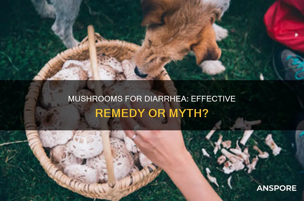 is mushroom good for diarrhea