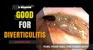 Mushroom Benefits for Diverticulitis: A Nutritional Guide to Healing