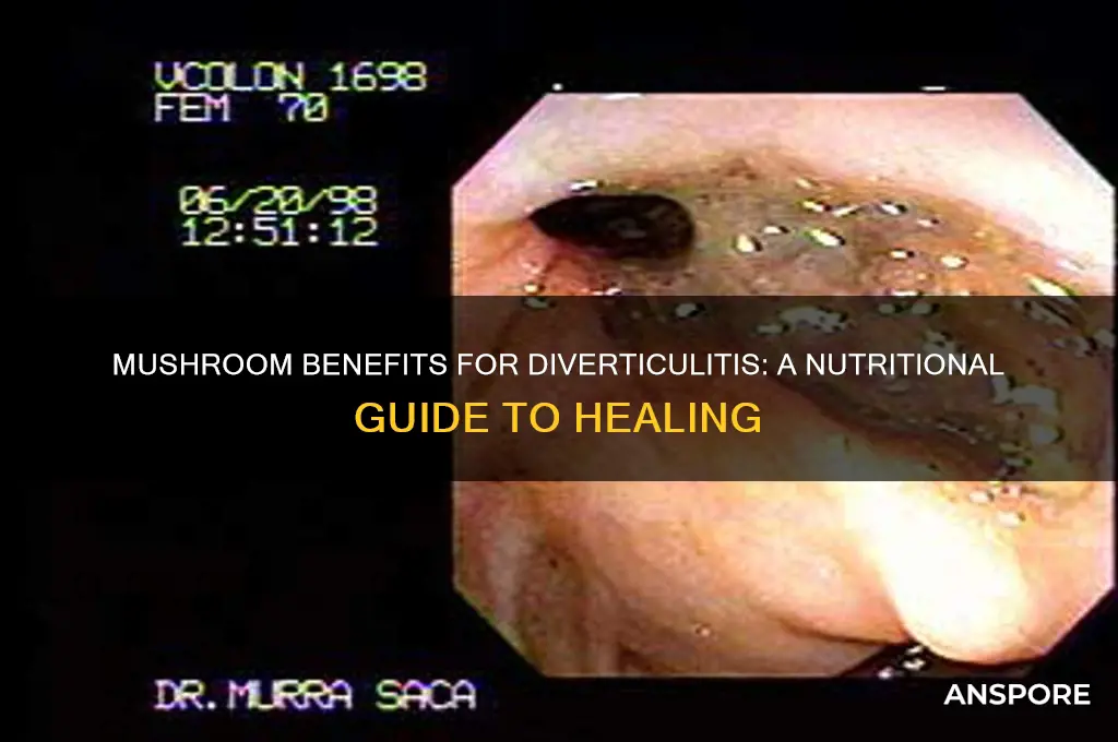 is mushroom good for diverticulitis