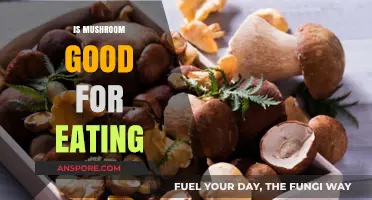 Mushrooms: Nutritional Benefits, Culinary Uses, and Safe Consumption Tips