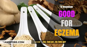 Mushrooms and Eczema: Exploring Their Potential Benefits for Skin Health