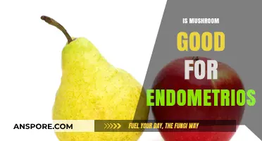 Mushrooms and Endometriosis: Exploring Potential Benefits and Nutritional Impact