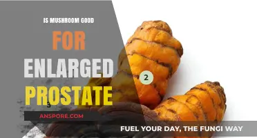 Mushrooms and Prostate Health: Can They Shrink Enlarged Prostates?