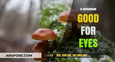 Mushrooms and Eye Health: Unveiling Their Vision-Boosting Benefits