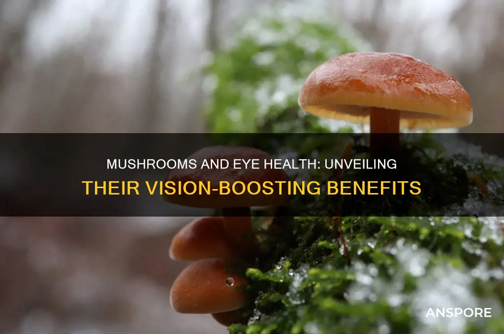 is mushroom good for eyes
