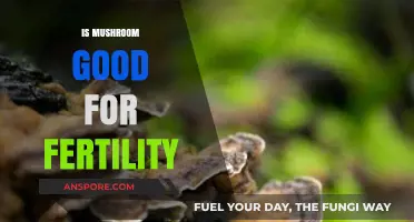 Mushrooms and Fertility: Unlocking Nature's Potential for Reproductive Health