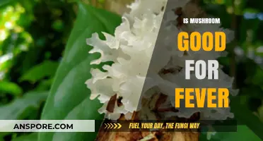 Mushrooms and Fever: Uncovering Their Role in Fighting Symptoms Naturally