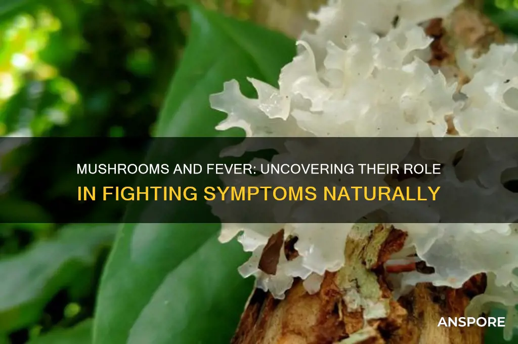 is mushroom good for fever