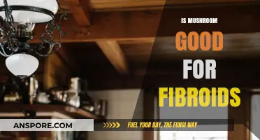 Mushrooms and Fibroids: Unveiling the Potential Benefits and Risks