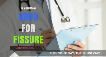 Mushrooms and Fissures: Healing Benefits or Harmful Myth?