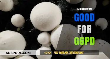 Mushrooms and G6PD: Exploring Their Safety and Nutritional Benefits