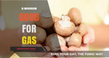 Mushrooms and Gas Relief: Unveiling Their Digestive Benefits