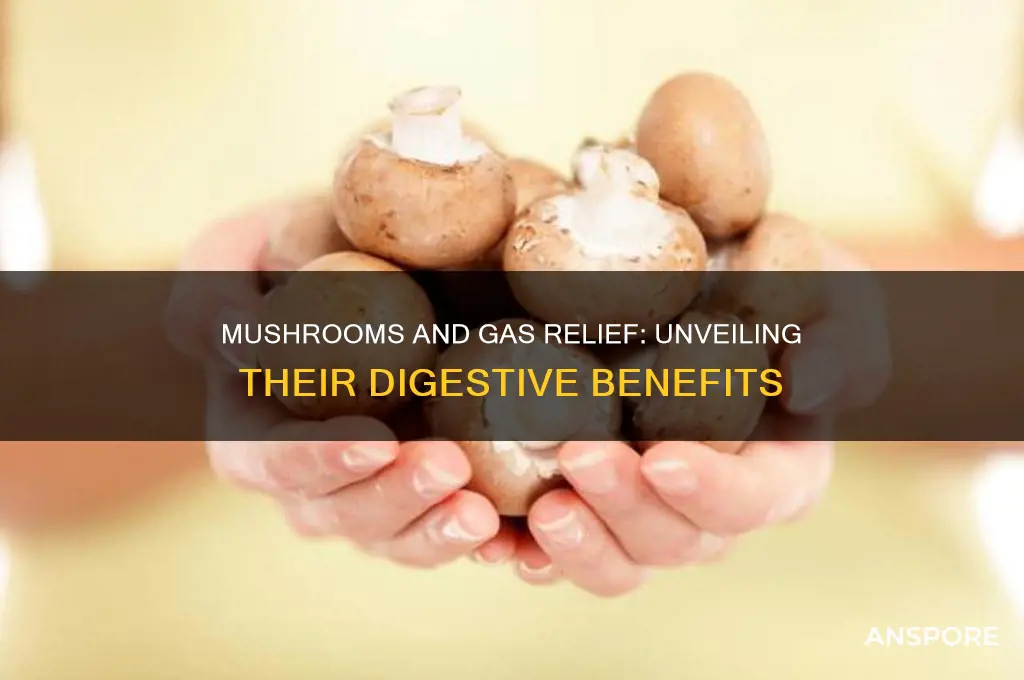 is mushroom good for gas