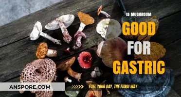 Mushrooms and Gastric Health: Benefits, Risks, and Nutritional Insights