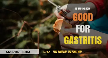 Mushrooms and Gastritis: Benefits, Risks, and Dietary Considerations