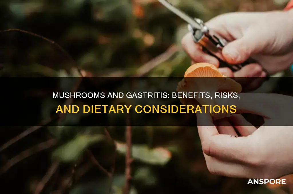 is mushroom good for gastritis