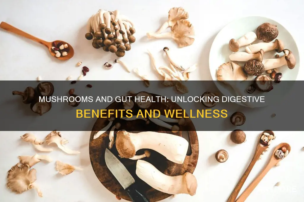 is mushroom good for gut health