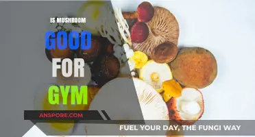 Mushrooms for Gym Performance: Benefits, Nutrition, and Recovery Explained