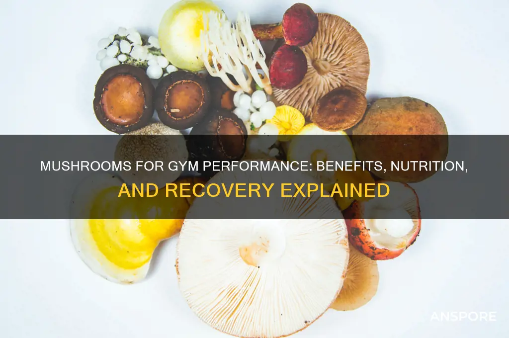 is mushroom good for gym