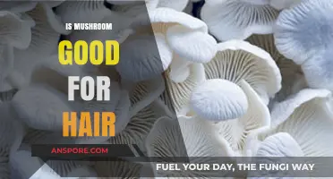 Mushroom Magic: Unlocking Hair Health Benefits and Growth Potential