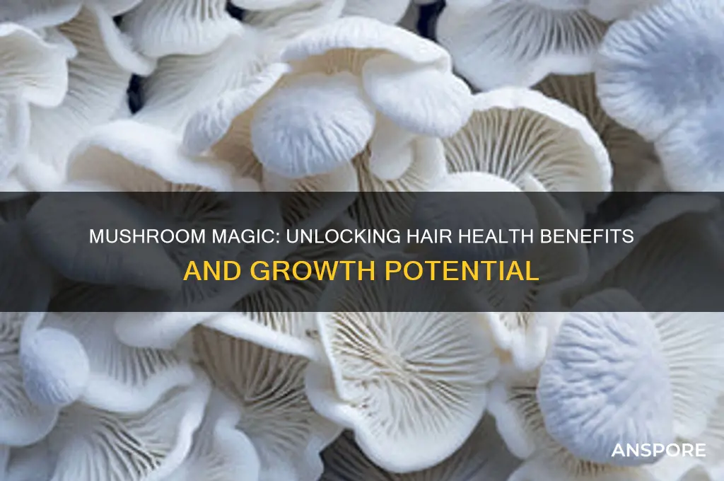 is mushroom good for hair