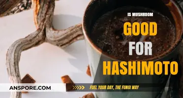 Mushrooms and Hashimoto's: Unlocking Potential Benefits for Thyroid Health