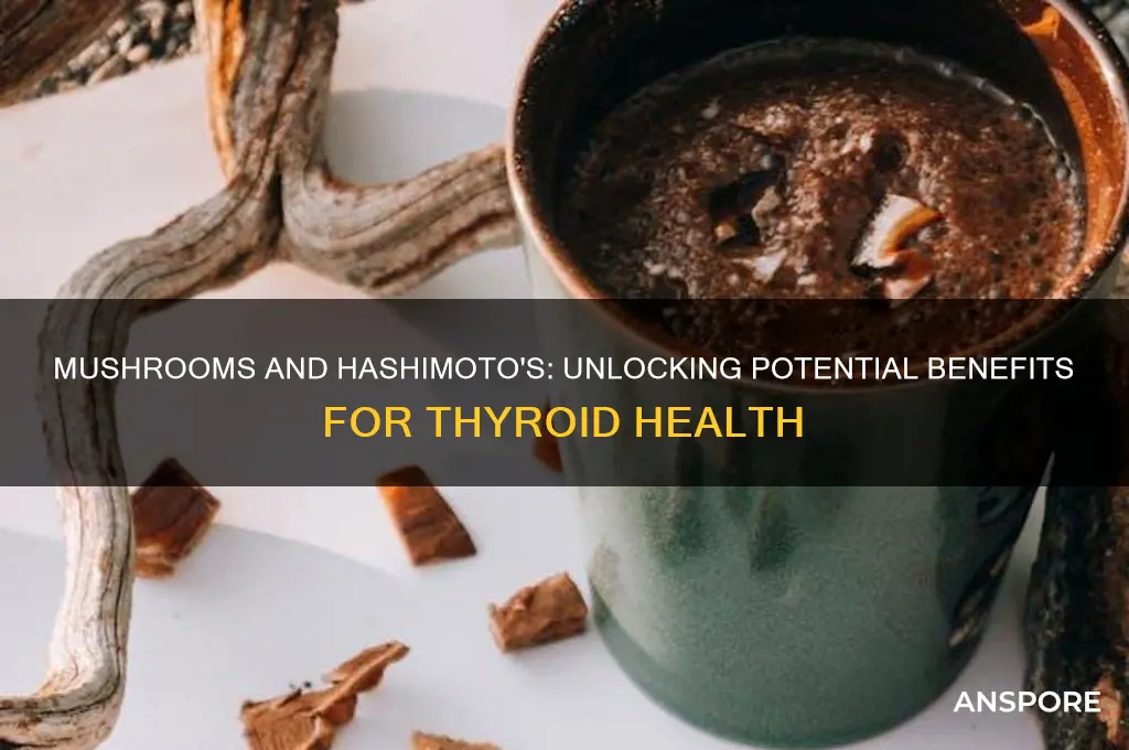 is mushroom good for hashimoto