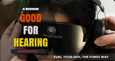 Mushrooms and Hearing Health: Unveiling the Surprising Benefits