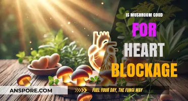 Mushrooms and Heart Health: Can They Clear Blockages?