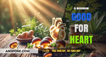 Mushrooms and Heart Health: Unlocking Cardiovascular Benefits Naturally