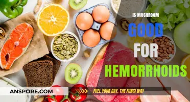 Mushrooms and Hemorrhoids: Natural Relief or Myth?