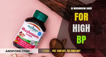 Mushrooms and High Blood Pressure: Benefits, Risks, and Best Types