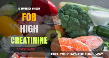 Mushrooms and Kidney Health: Can They Lower High Creatinine Levels?