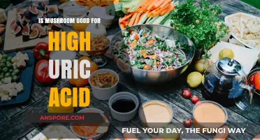 Mushrooms and Uric Acid: Benefits, Risks, and Dietary Tips