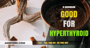 Mushrooms and Hyperthyroidism: Uncovering Their Role in Thyroid Health