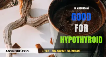 Mushrooms and Hypothyroidism: Unlocking Thyroid Health Benefits and Risks