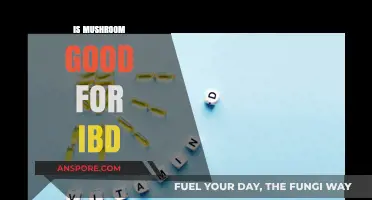 Mushrooms and IBD: Exploring Potential Benefits for Gut Health