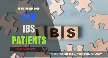 Mushrooms and IBS: Are They a Gut-Friendly Food Choice?