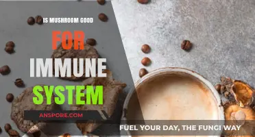 Boost Your Immunity: The Surprising Benefits of Mushrooms for Health