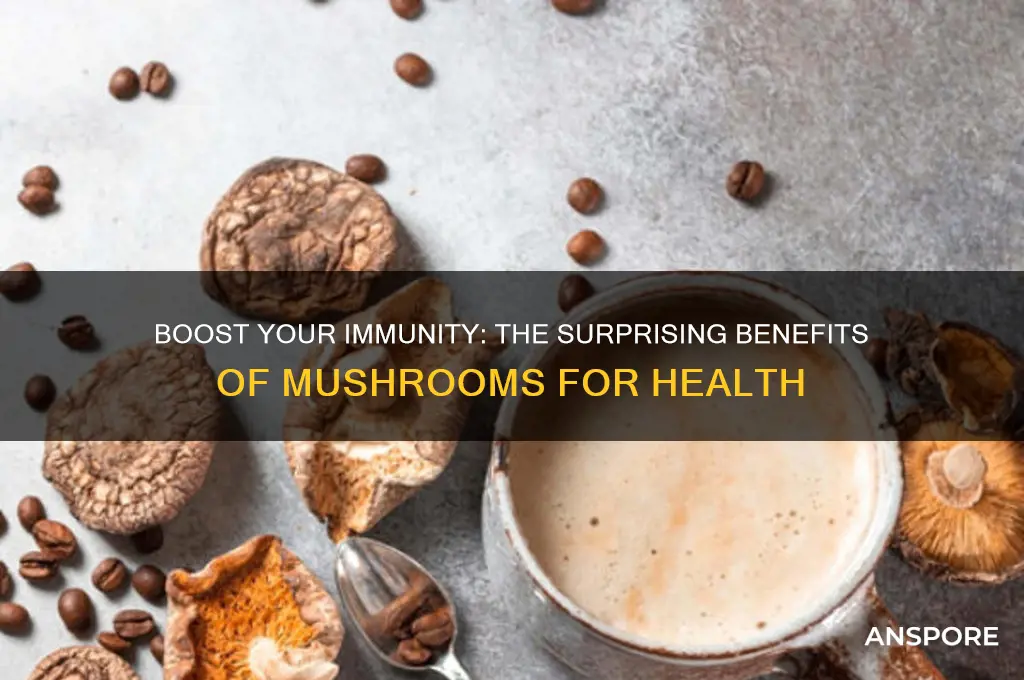 is mushroom good for immune system