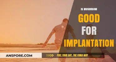 Mushrooms and Implantation: Unveiling Their Role in Fertility and Pregnancy