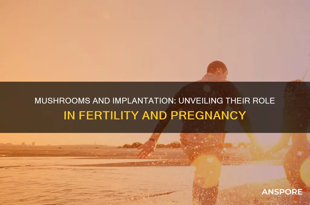 is mushroom good for implantation