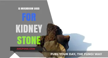 Mushrooms and Kidney Stones: Benefits, Risks, and Dietary Tips