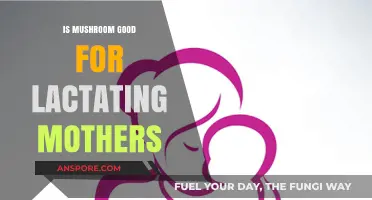 Mushrooms and Breastfeeding: Benefits, Safety, and Nutritional Value for Moms