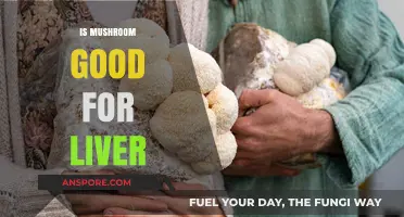 Mushrooms and Liver Health: Benefits, Risks, and Nutritional Insights