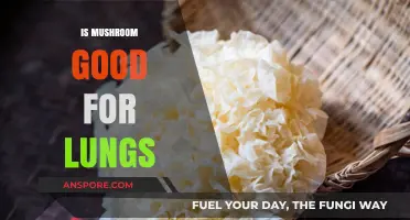 Mushrooms and Lung Health: Unveiling Their Respiratory Benefits