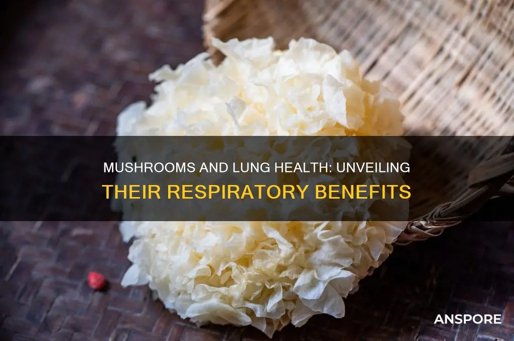 is mushroom good for lungs