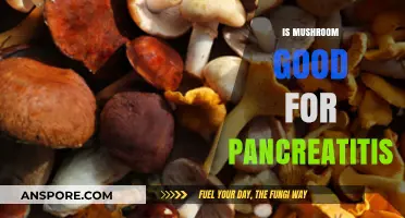 Mushrooms and Pancreatitis: Benefits, Risks, and Dietary Considerations
